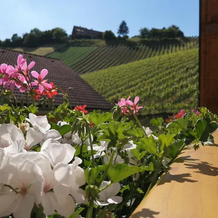 Stoff Апартаменты